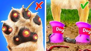 Keep Your Pets Safe! *Viral Gadgets and Hacks For Happy Cats and Dogs*