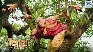 घने जंगल में कैसे तथाचार्य हुवे मधुमखी का शिकार ? | Tenali Rama | Comedy Series | New Full Episode