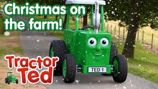 Christmas On The Farm  | Tractor Ted Clips | Tractor Ted Official Channel