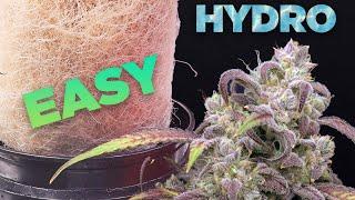 How to HYDRO EASY - COMPLETE GROW GUIDE Cannabis & Weed Hydroponic DWC