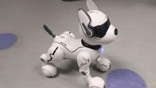 Meet our new robodogs!