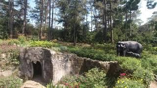 Botanical Garden 360 | Baguio City