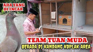 pengunjung terbaru di kandang koplak area dari team tuan muda 5 feb 2024