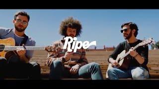 Ripe - "Downward" (Acoustic) Filmed live at Red Rocks