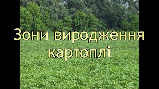 Зони виродження картоплі