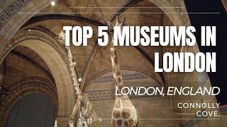 Top 5 Museums in London | London | Museums in London | England | Things To Do In London