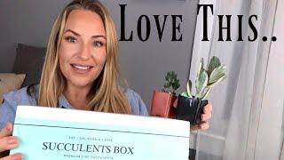 September Subscription Box |  UNBOXING Succulents Box ! mini life update