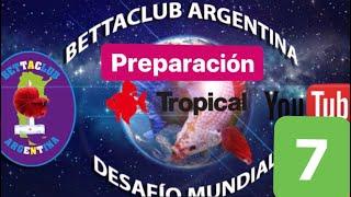 Día 7 de preparación desafío BETTACLUB arg mundial