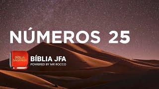 NÚMEROS 25  - Bíblia JFA Offline