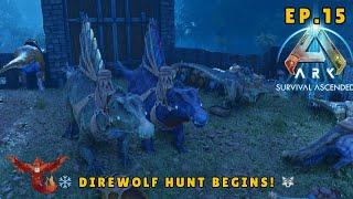 ARK Survival Ascended  ~ Ep.15 ~ ️ Direwolf Hunt & Taming Spree!  | Spino, Allosaurus & More |