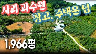 연매출 6천만원 사과과수원! 귀농하기 좋습니다! - (땅보스TV , 협동부동산) 충청북도 제천시 덕산면 신현리