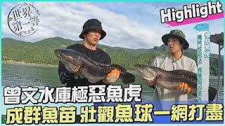 【嘉義】曾文水庫獨門放棍法 捕獲超兇極惡魚虎｜《世界第一等》1062集 Highlight 精彩搶先看