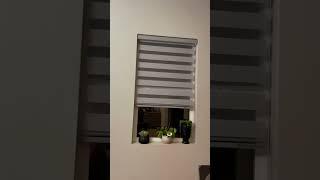 Honest Review   Zebra roller shades and blinds, Privacy