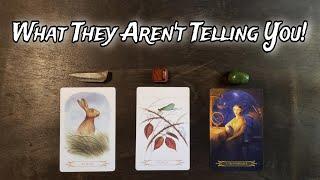 What They Aren't Telling You!  Pick A Card Love Reading