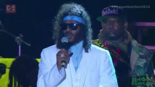 Super Cat Live at Reggae Sumfest 2016