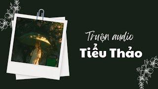 [ Truyện audio ] - Tiểu Thảo - Zhihu | Mèo không đen