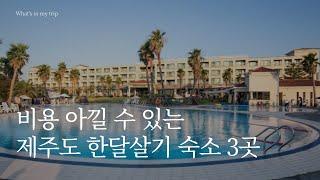 제주도 한달살기 숙소 3곳 | 비용 아끼며 지낼 수 있는 가성비 호텔,리조트 추천 | 신신호텔 서귀포, 담앤루 리조트, 마레보리조트