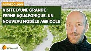 Comment les fermes aquaponiques impactent moins l'environnement ?