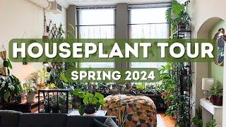Houseplant Tour | Spring 2024 (200+ Plants)