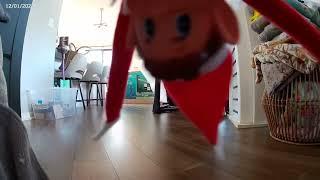 Elf on the shelf caught moving in, caught in 4K ￼