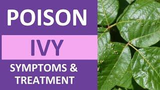 Poison Ivy Treatment, Symptoms, Pictures, Overview | Tips for Poison Oak, Sumac