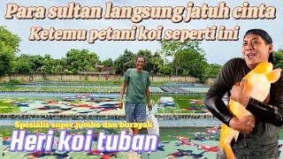 Bisa jadi rebutan para sultan ketemu petani koi seperti ini‼️Heri koi tuban - koi pantura