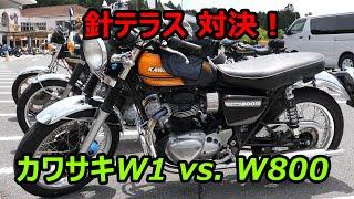 650W1SA vs. W800 Let the showdown begin!