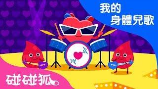 心臟   | 我的身體兒歌  | 碰碰狐PINKFONG