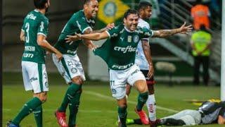 Palmeiras # Crazy Skills Fevereiro 2019