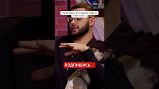 Самая страшная тюрьма Украины по словам гостя #shorts #украина #тюрьмы #подпишись #лайк #fridon