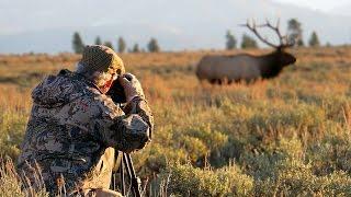 Tom Mangelsen photographing in Grand Teton National Park