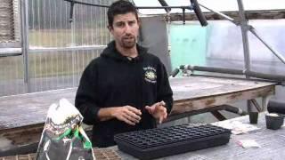 Seed starting instructional video from Territorial Seed Company