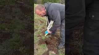 Easy way to get rid of a gopher | lawn or hay field. #shorts #diy #home #gopher ￼