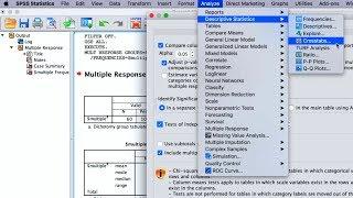 SPSS: How To Perform Quantitative Data Analyses For Bachelor's Research? 5 Basic Analysis Methods