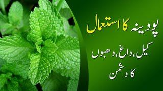 Pudina Ke Fayde Aur Nuksan | Pudina Benefits Urdu || benefits of mint