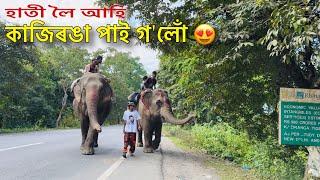 হাতী লৈ কাজিৰঙা পাই গ’লোঁ  - Episode 17 : Elephant Journey to Kaziranga 2024