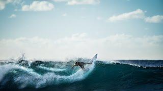 William Finnegan: Waves That Leave You Speechless