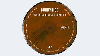 Buddynice - Crazy Me (Redemial Mix)