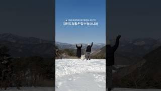 강아지랑 해발 600미터 산장에서 보낸 2박3일 #강아지여행