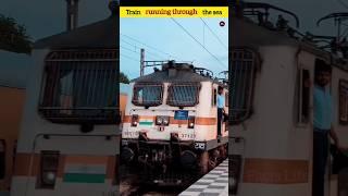 Train passing through the sea l #shorts #youtubeshorts #shortvideo @FactsMine @FACTBOY1