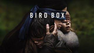 BIRD BOX ||new Hollywood Hindi Dubbed Movie||