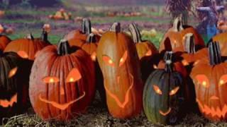 Crumpkin's Pumpkins' Pumpkin Song