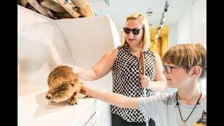 "Wildnis(t)räume" - die Erlebnisausstellung für Alle!