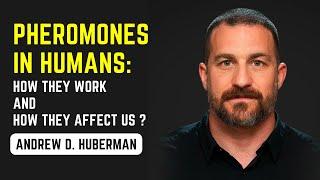 Neuroscientist: The Science of Pheromones, How They Work and How They Affect Us? | #andrewhuberman