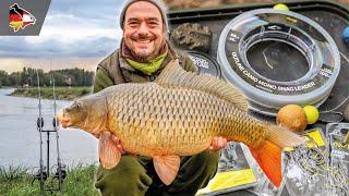 Karpfenangeln am Vater-Rhein | Volker Seuß zeigt, wie er am großen Fluss vorgeht!