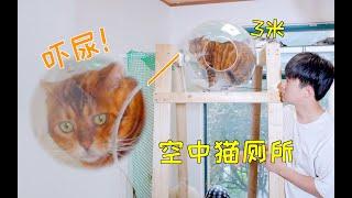 耗时30天制做空中全透明猫厕所，猫上去直接吓尿了！