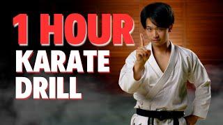 1 Hour Karate Workout Video!