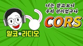 웹개발 짜증유발자! CORS가 뭔가요?