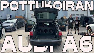 Pottukoira Audi A6 Stereoasennus