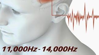 Tinnitus Relief Sounds | White Noise & Sine Waves 11,000Hz - 14,000Hz | Tinnitus Sound Therapy